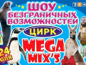 Шоу безграничных возможностей Mega Mix's