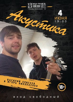 Василий Елисеев и Игорь Николаенко