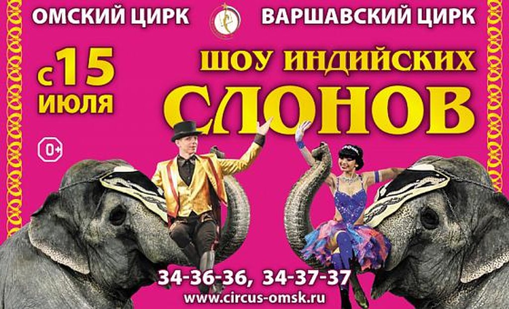 Цирк интернет билет. Шоу программа цирк Омск. Омский цирк афиша. Афиша цирка. Шоу слонов афиша.