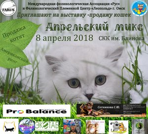 Выставка-продажа котят "Апрельский микс"