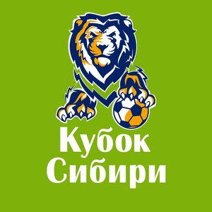 Кубок Сибири по мини-футболу "Сибирский лев"