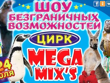 Шоу безграничных возможностей Mega Mix's