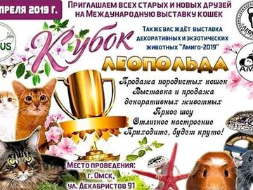 Международная выставка кошек "Кубок Леопольда"