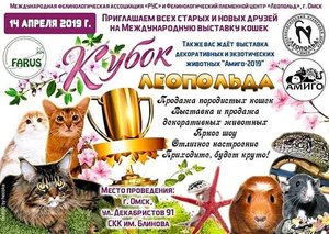 Международная выставка кошек "Кубок Леопольда"