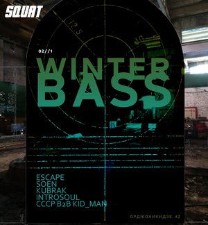 Winter Bass