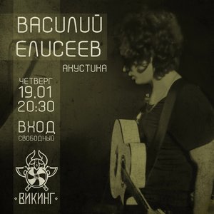 Василий Елисеев | акустика