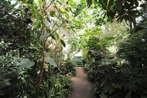 Ночь музеев - 2023: Ботанический сад Омского ГАУ
