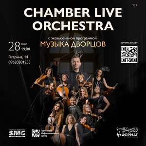 Chamber Live Orchestra. Музыка дворцов