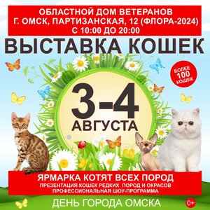 Выставка кошек