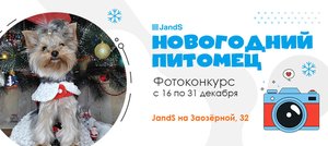 Фотоконкурс "Новогодний питомец"