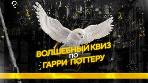 Квиз по вселенной Гарри Поттера!