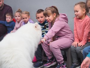 «Кинологический квест»