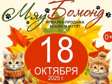 Ярмарка-продажа котят 18 октября 2025