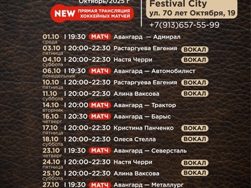 Трансляции хоккейных матчей