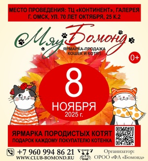 Ярмарка-продажа котят