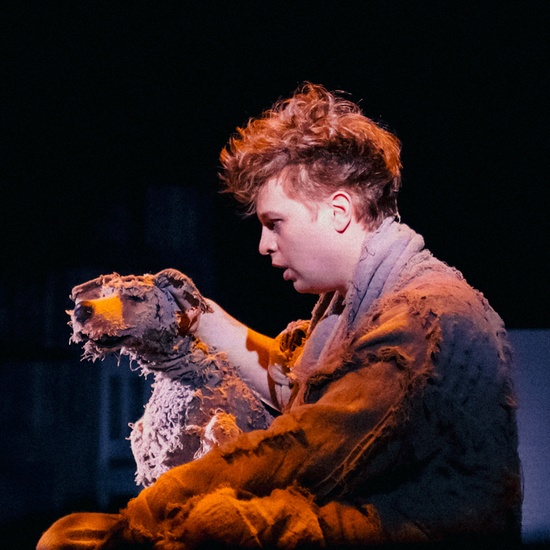 Собачье сердце