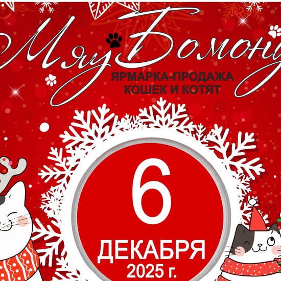 Ярмарка продажа котят 6 декабря