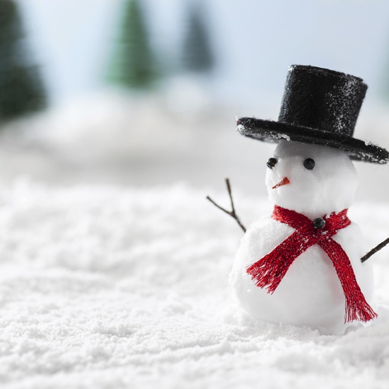 Похищение Деда Мороза