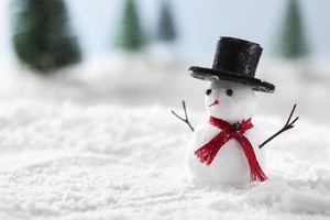 Похищение Деда Мороза