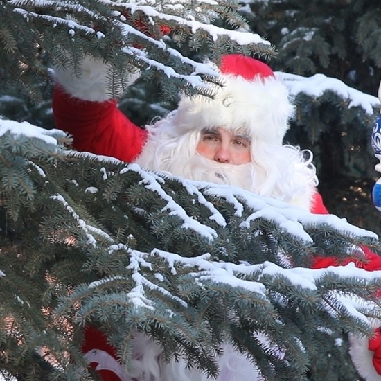 Резиденция Деда Мороза. Сказка «Морозко»