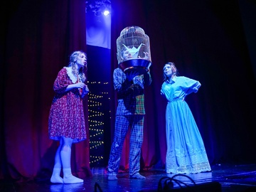 Синяя птица