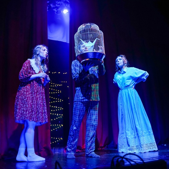 Синяя птица