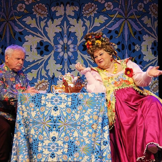 Не в свои сани не садись