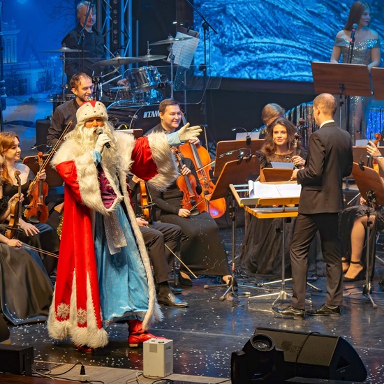 Новогодняя феерия. Праздничное шоу