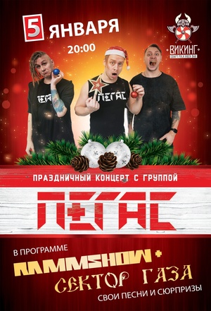 Праздничный концерт с группой Пегас