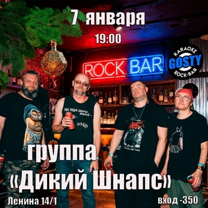 группа «Дикий Шнапс»