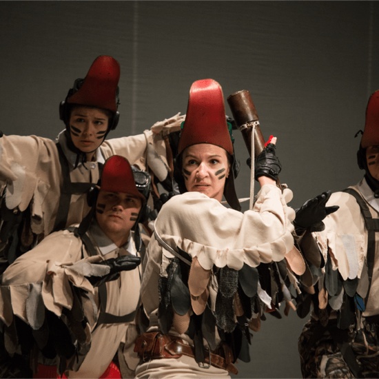 Путешествие Нильса с дикими гусями