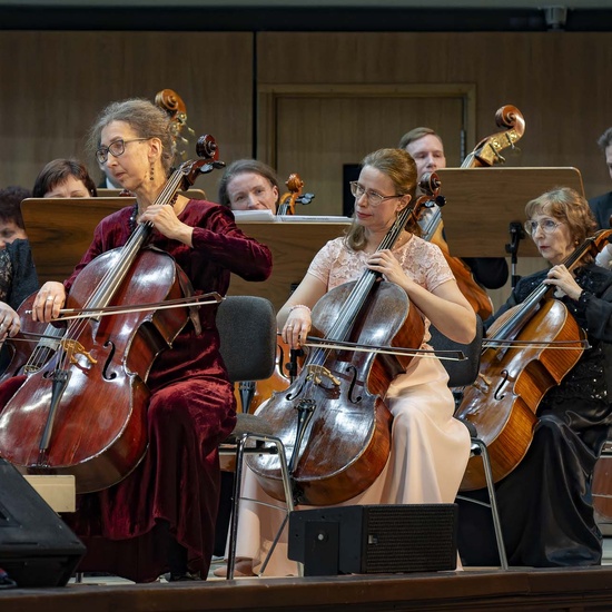 Старый Новый год с Большим оркестром. Венский чародей
