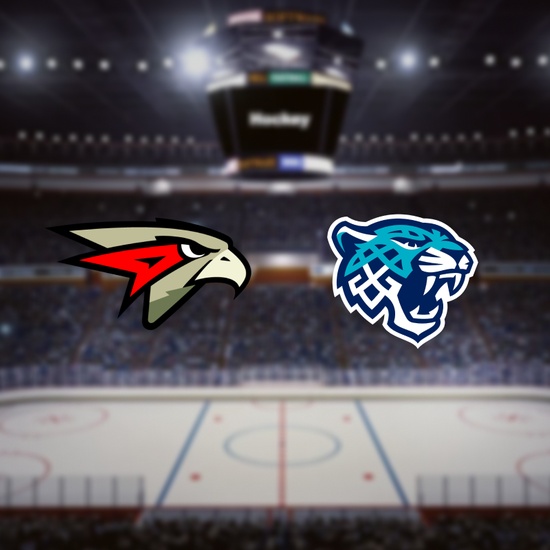 Омские Ястребы — Снежные Барсы