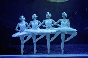 Лебединое озеро