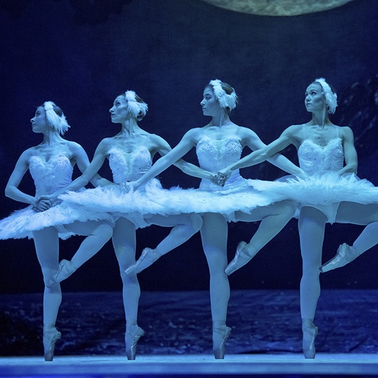 Лебединое озеро