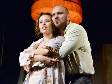 Пять вечеров