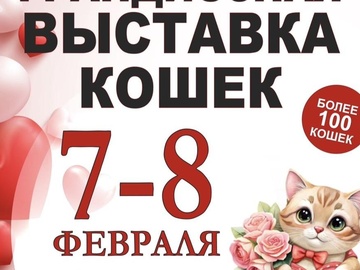 Выставка кошек