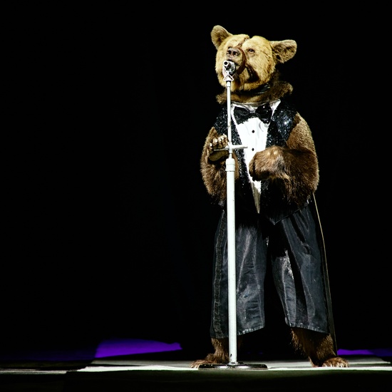 Цирк Филатовых