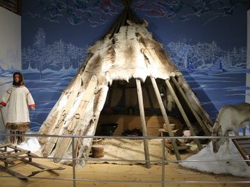 Обзорная экскурсия по историко-краеведческому музею