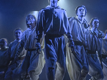 Чайка Livingston