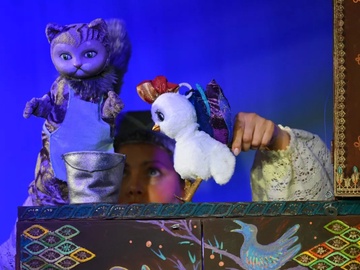 Петушок-золотой гребешок