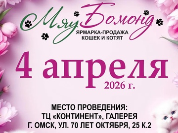 Ярмарка котят 4 апреля в Континенте