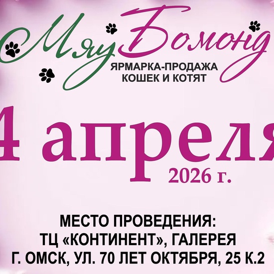 Ярмарка котят 4 апреля в Континенте