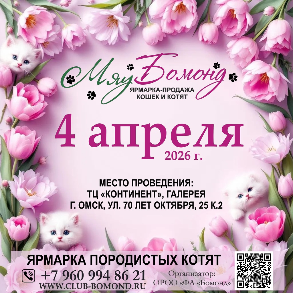 Ярмарка котят 4 апреля в Континенте