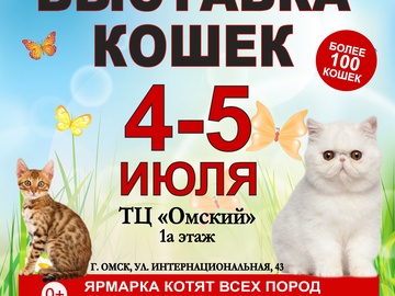 Выставка кошек 4-5 июля в ТЦ «Омский»