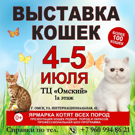 Выставка кошек 4-5 июля в ТЦ «Омский»