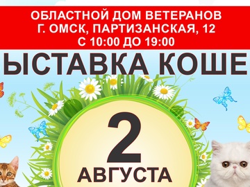 Выставка кошек 2 августа - День города