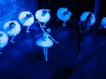 Лето пируэта. Лебединое озеро