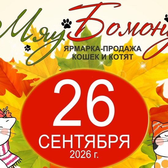 Выставка-продажа кошек и котят 26 сентября