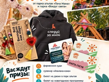 Встреча с альпаками